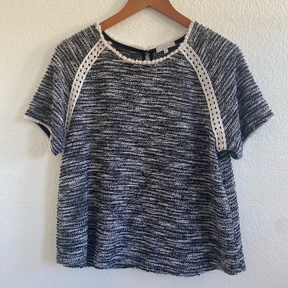 ❤️ Crystal & Violet Short Sleeve Sweater | Grey and black